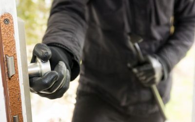 Cele mai bizare 6 furturi din istorie: De la opere de artă la