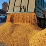 Afacerile Viterra România, pe minus în ultimul an de activitate Afacerile companiei Viterra România au crescut cu 28% în 2025, ajungând la 2,4 miliarde de lei, însă compania a înregistrat o pierdere de 16,9 milioane de lei