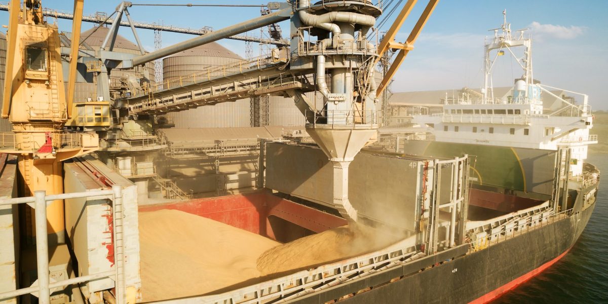 Bani puțini din exporturile de cereale: Cât au câștigat fermierii anul trecut