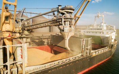 Bani puțini din exporturile de cereale: Cât au câștigat fermierii anul trecut