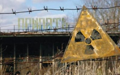 Nouă formă de viață, descoperită la Cernobîl: Misterul de după dezastru!