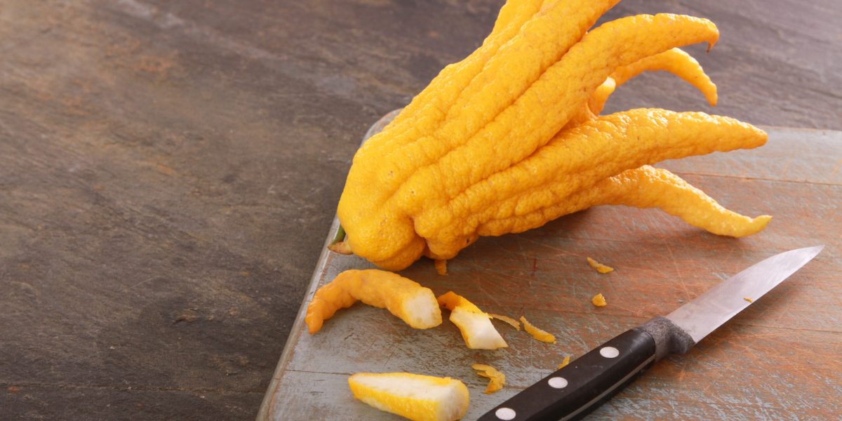 Citricele, secretul natural pentru calmarea emoțiilor