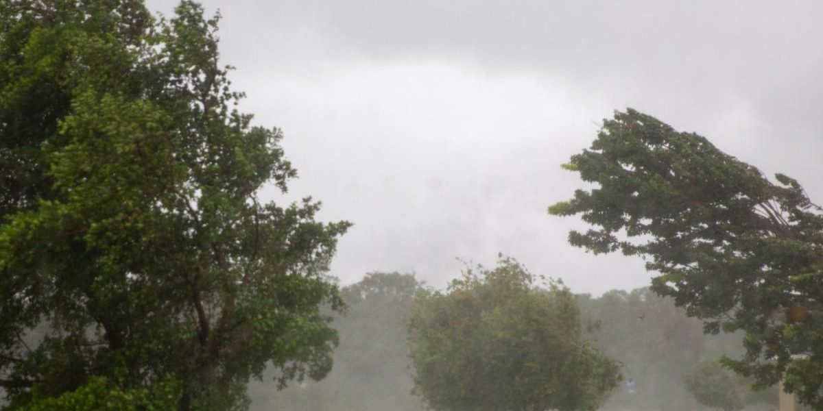 Cod galben de vânt sâmbătă peste România: Ploi și schimbări radicale!