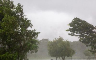 Cod galben de vânt sâmbătă peste România: Ploi și schimbări radicale!