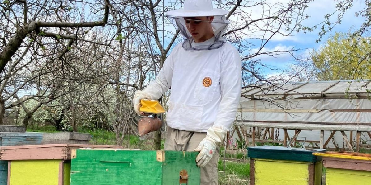 Albinele cumpărate din alocație au adus-o pe ELEVA la un premiu internațional!