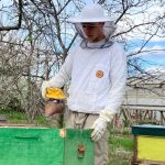 Albinele cumpărate din alocație au adus-o pe ELEVA la un premiu internațional!