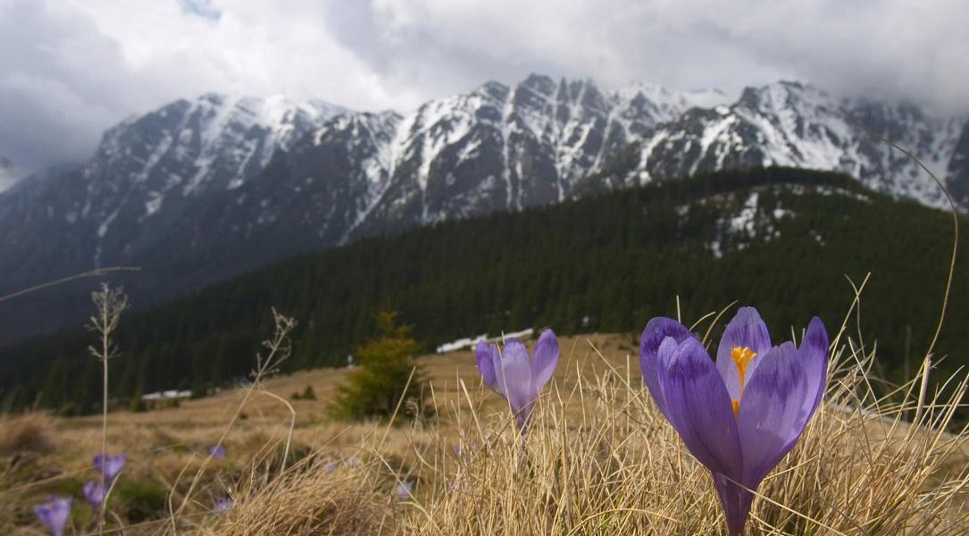 Ger cumplit în România de Paște: Vine iarna peste țară