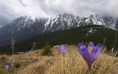 Ger cumplit în România de Paște: Vine iarna peste țară