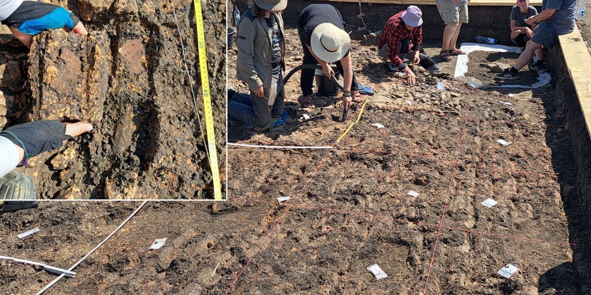 Cucuteni: Arheologi din România și Germania, descoperiri epocale