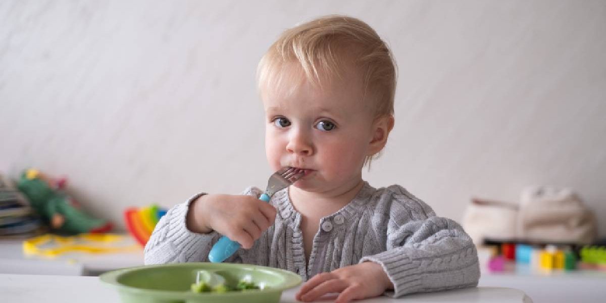 Pediatrii, despre alimentația copiilor: Fast-food, chipsuri și desert – secretul unei relații relaxate cu mâncarea Bucăți de pui pane, cartofi prăjiți, chipsuri și deserturi