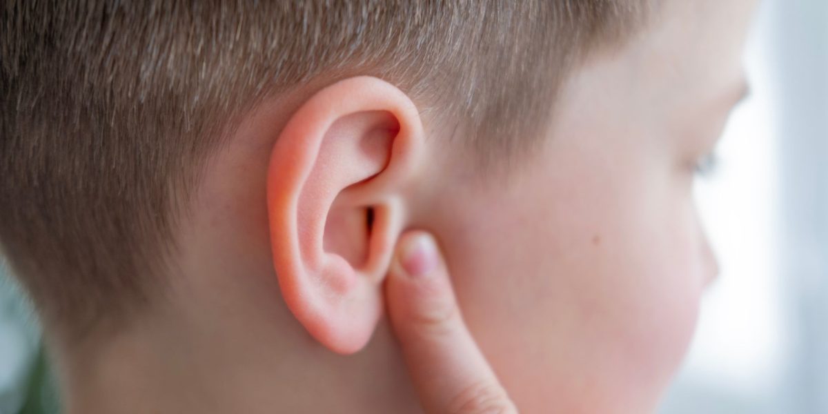 Cerință de test: Care e singura parte fără funcție în corpul uman