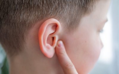 Cerință de test: Care e singura parte fără funcție în corpul uman