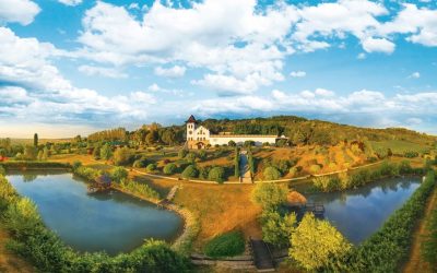 Purcari Wineries achiziționează crama SERVE, marcând o consolidare în piața vinului din România Purcari Wineries, un jucător important pe piața vinului din România, a achiziționat crama SERVE Ceptura în luna martie