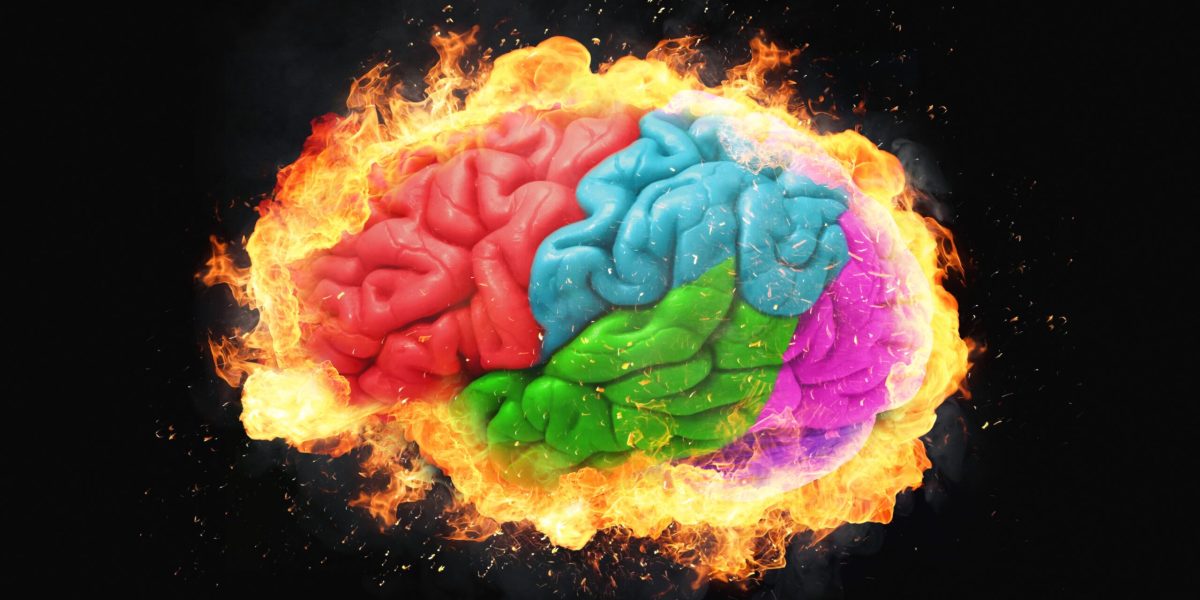 Tinerii, creierul și mitul celor 25 de ani: Ce spune știința despre dezvoltarea neuronală București – Unul dintre cele mai răspândite mituri despre adolescenți și tineri este legat de dezvoltarea creierului lor