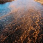 Atac Rusesc: Moldova, în criză de apă. Cea mai gravă criză de la Cernobîl