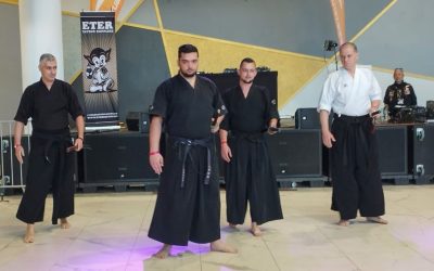 Kenjutsu la Timișoara: Arta sabiilor și un stil de viață!
