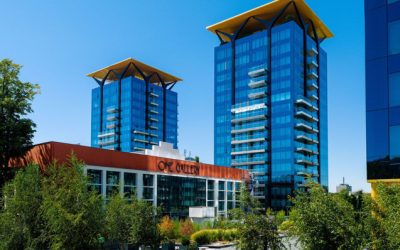 Branduri românești în imobiliare: De la cărămidă la experiență. Cum inovează dezvoltatorii?