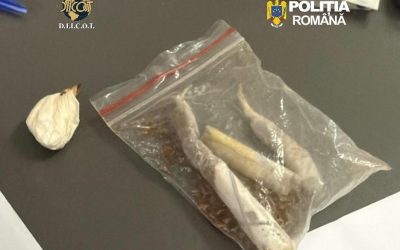 Doi traficanți de droguri, arestați preventiv la Cluj Procurorii DIICOT din Cluj au reținut doi bărbați, în vârstă de 43 și 49 de ani, acuzați de trafic de droguri de mare risc