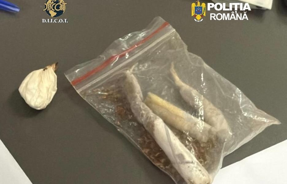 Doi traficanți de droguri, arestați preventiv la Cluj Procurorii DIICOT din Cluj au reținut doi bărbați, în vârstă de 43 și 49 de ani, acuzați de trafic de droguri de mare risc