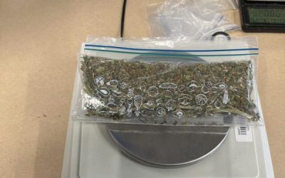 MARE lovitură: Droguri de zeci de kilograme, confiscate de Poliție și Procurori