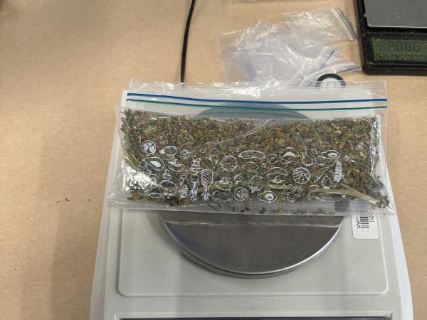 MARE lovitură: Droguri de zeci de kilograme, confiscate de Poliție și Procurori