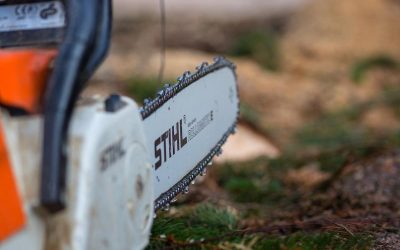 Bărbat din Alba, ucis de o drujbă: Dosar penal pentru ucidere din culpă