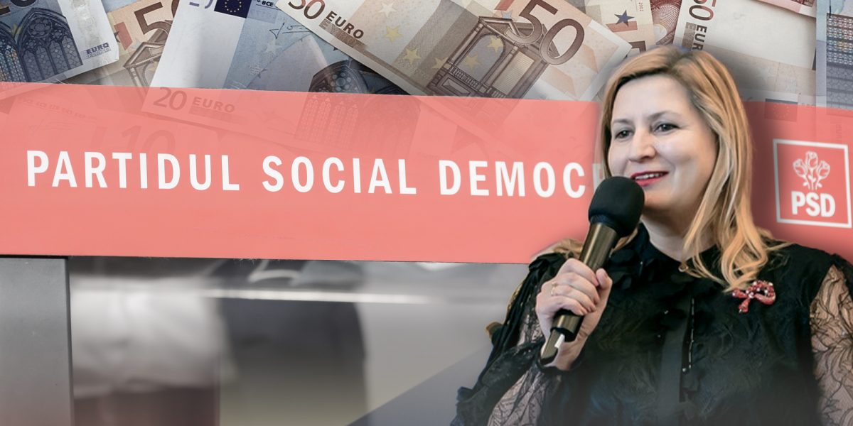 Elena Vlad, directoarea economică a Partidului Social Democrat (PSD), a acumulat venituri semnificative în ultimii doi ani, totalizând aproximativ 500.000 de euro