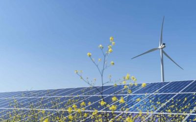 Prețurile energiei electrice au coborât sub zero în Polonia pentru o parte dintre consumatori, un fenomen determinat de producția record din surse regenerabile