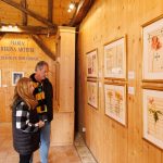 Expoziția „Regina Maria Artistă” ajunge la Casa Regelui Charles din Viscri