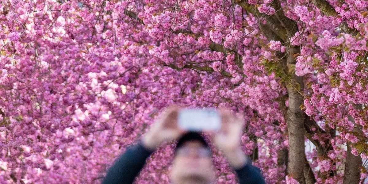 Prognoza meteo pentru 1 Mai 2026: Cum va fi vremea în România și Europa