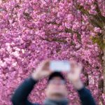 Prognoza meteo pentru 1 Mai 2026: Cum va fi vremea în România și Europa