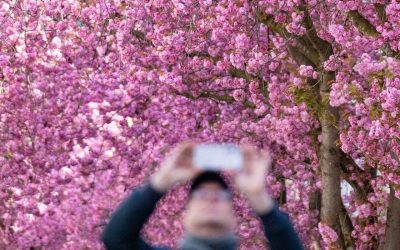 Prognoza meteo pentru 1 Mai 2026: Cum va fi vremea în România și Europa