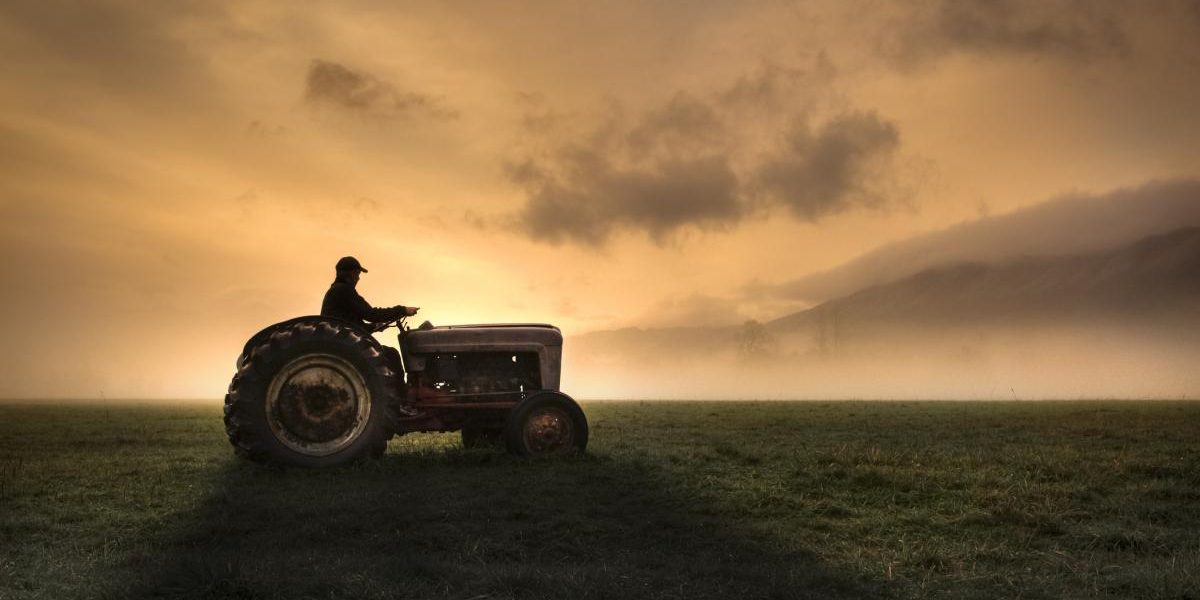 Fermieri, strigăt de alarmă: Criza din agricultură bate la ușă