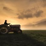 Fermieri, strigăt de alarmă: Criza din agricultură bate la ușă