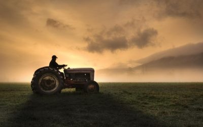 Fermieri, strigăt de alarmă: Criza din agricultură bate la ușă