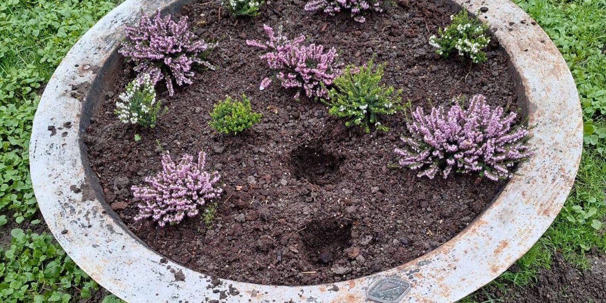 Sute de flori proaspăt plantate în Parcul Cișmigiu au fost furate, iar Poliția Locală a intensificat patrulele în zonă, după ce Primăria Capitalei a raportat repetate acte de vandalism