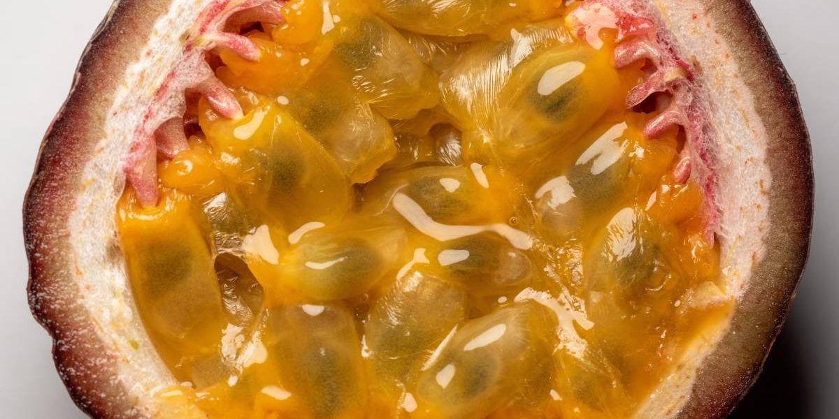 O descoperire recentă a cercetătorilor de la Universitatea din Oslo oferă speranțe în lupta împotriva maladiei Alzheimer