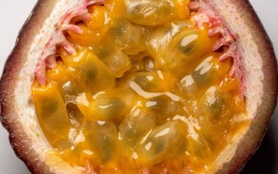 O descoperire recentă a cercetătorilor de la Universitatea din Oslo oferă speranțe în lupta împotriva maladiei Alzheimer