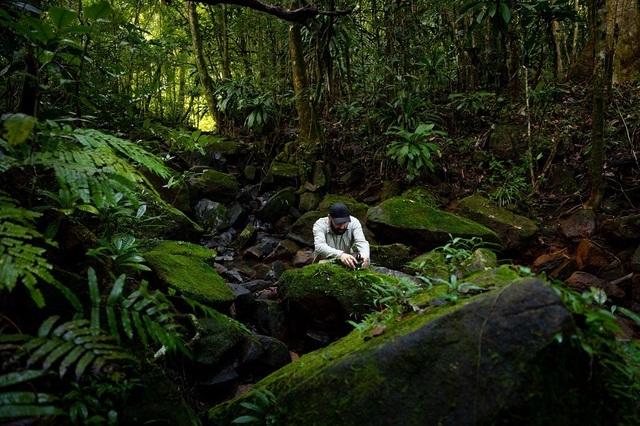 Sunetele din Parcul Vânători Neamț: Zimbri, cerbi și acvile, pe Earth FM