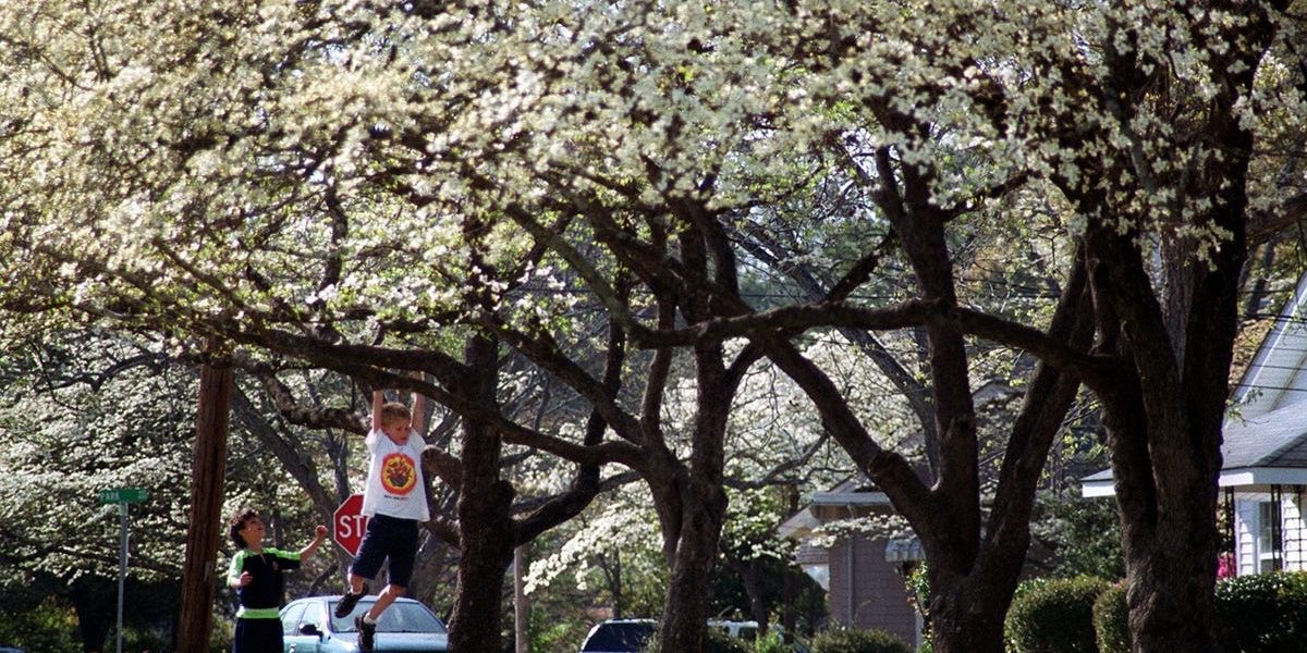 Vremea de paște în Fayetteville: Prognoza pentru sărbătoare