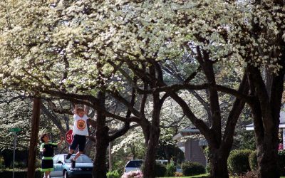 Vremea de paște în Fayetteville: Prognoza pentru sărbătoare