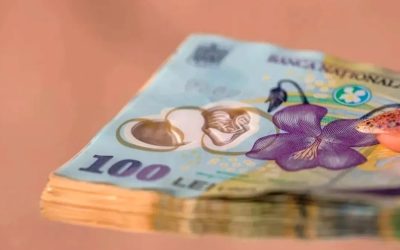 FMI, ultimul raport: Ce crește și ce stagnează în economia României