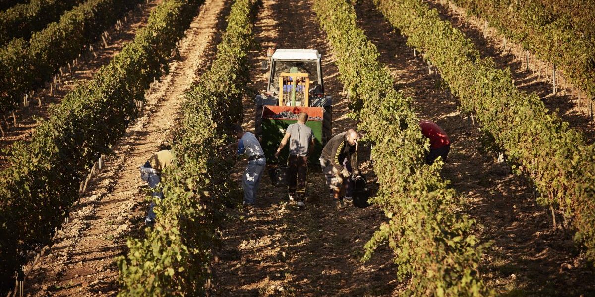 Guvernul Spaniol acordă șansa: 500.000 de imigranți, statut legal. Cine aplică?