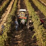 Guvernul Spaniol acordă șansa: 500.000 de imigranți, statut legal. Cine aplică?