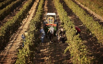 Guvernul Spaniol acordă șansa: 500.000 de imigranți, statut legal. Cine aplică?