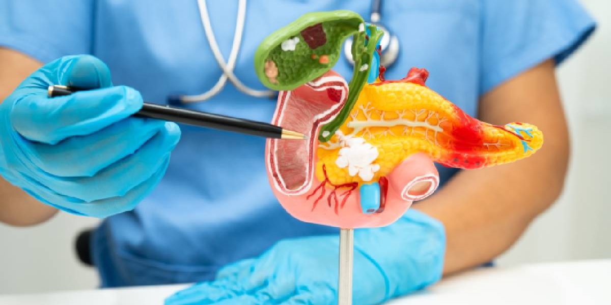 De ce mâncăm la fel, dar corpul reacționează diferit? Explicația