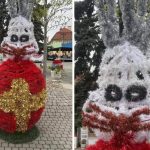 Iepurași horror în Baia Mare: Localnici scandalizați de „monstruozități”