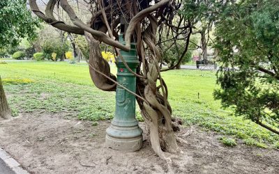 Cișmigiu: Istorii ascunse sub vopseaua vechilor stâlpi din București