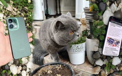 Noul telefon OPPO Reno14 5G impresionează prin performanță, design și funcții bazate pe inteligență artificială, oferind o experiență de utilizare plăcută, dincolo de specificațiile tehnice specificate de producător