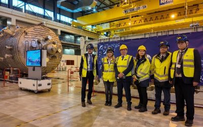 Rusia, cheia celui mai mare reactor nuclear european: Pașapoartele, uitate-n instalație